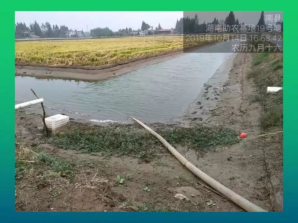 养虾设备养殖室内视频_生态养虾方案_车虾生态养殖技术