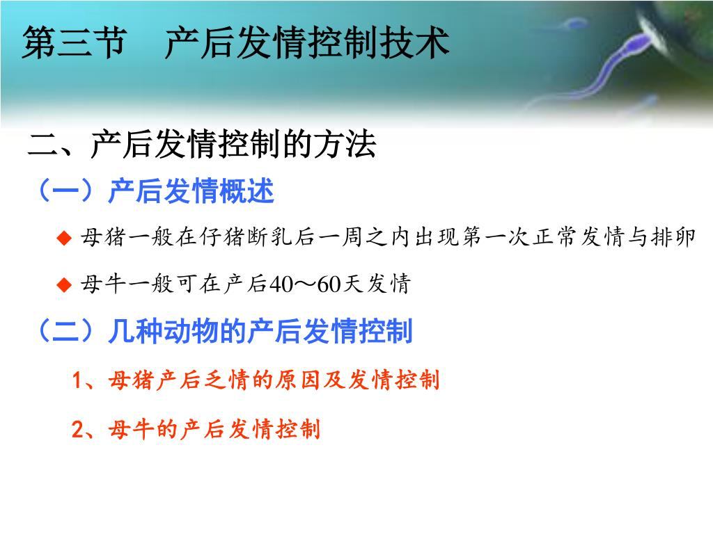 致富经养猪视频大全视频播放_致富经放养猪视频_致富经放养猪视频全集