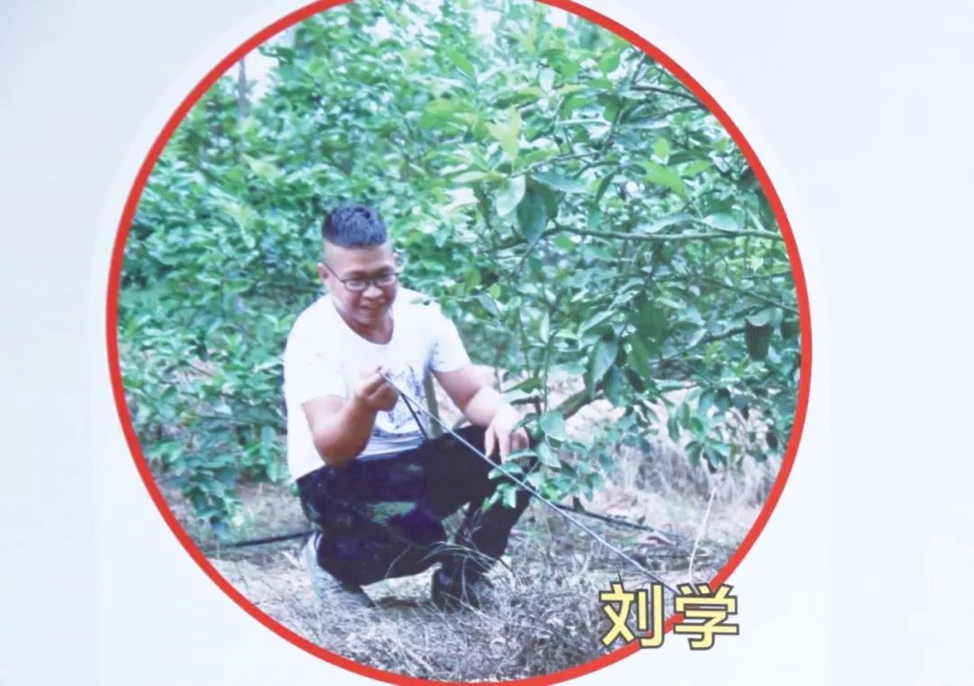 金樱子种植技术和管理_种植金樱子前景怎么样_金樱子种植技术视频