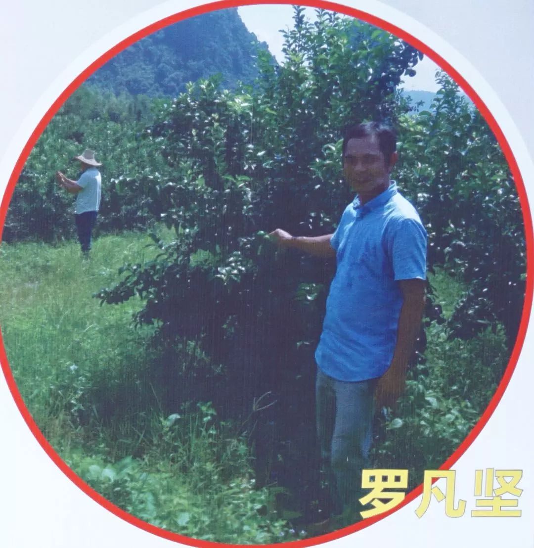 种植金樱子前景怎么样_金樱子种植技术视频_金樱子种植技术和管理
