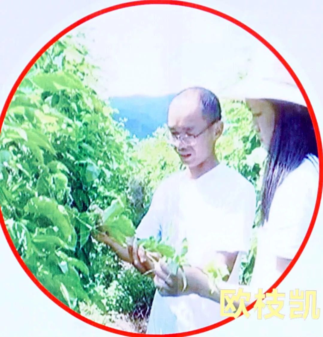 金樱子种植技术视频_金樱子种植技术和管理_种植金樱子前景怎么样