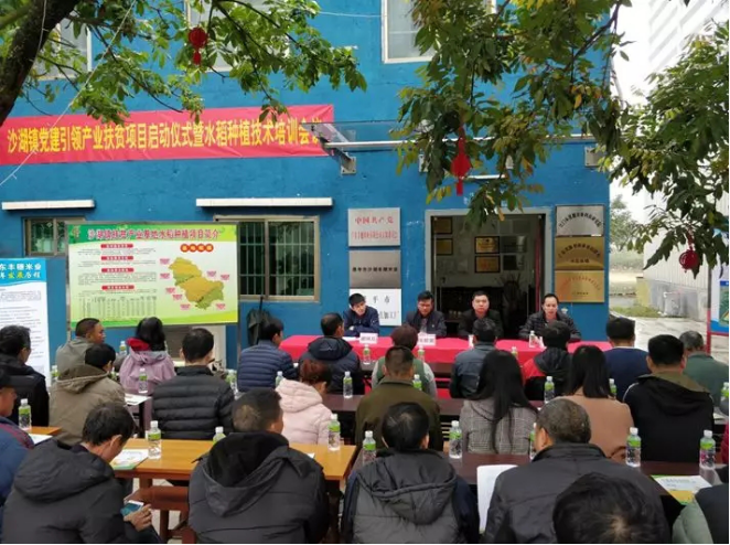 恩平种植致富_种植致富农村项目大全_恩平种子公司
