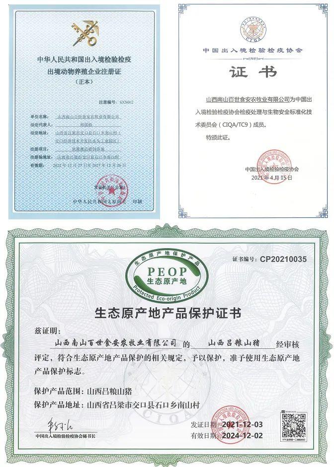 致富经散养山猪_致富经山林放养猪视频_山区散养猪