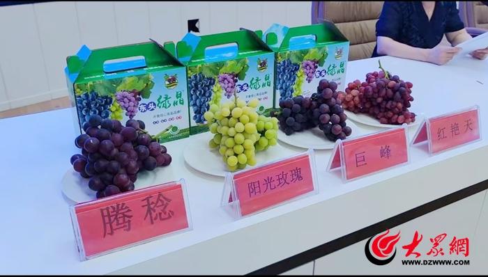 牡丹花富贵满堂品种图片_牡丹花富贵_致富经牡丹花