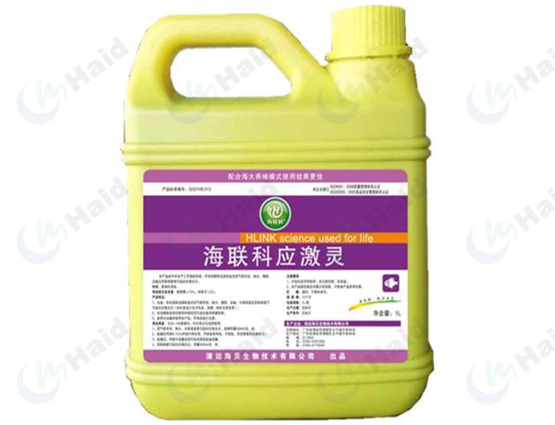 花鳅的养殖技术_中华花鳅人工养殖_花泥鳅养殖技术视频