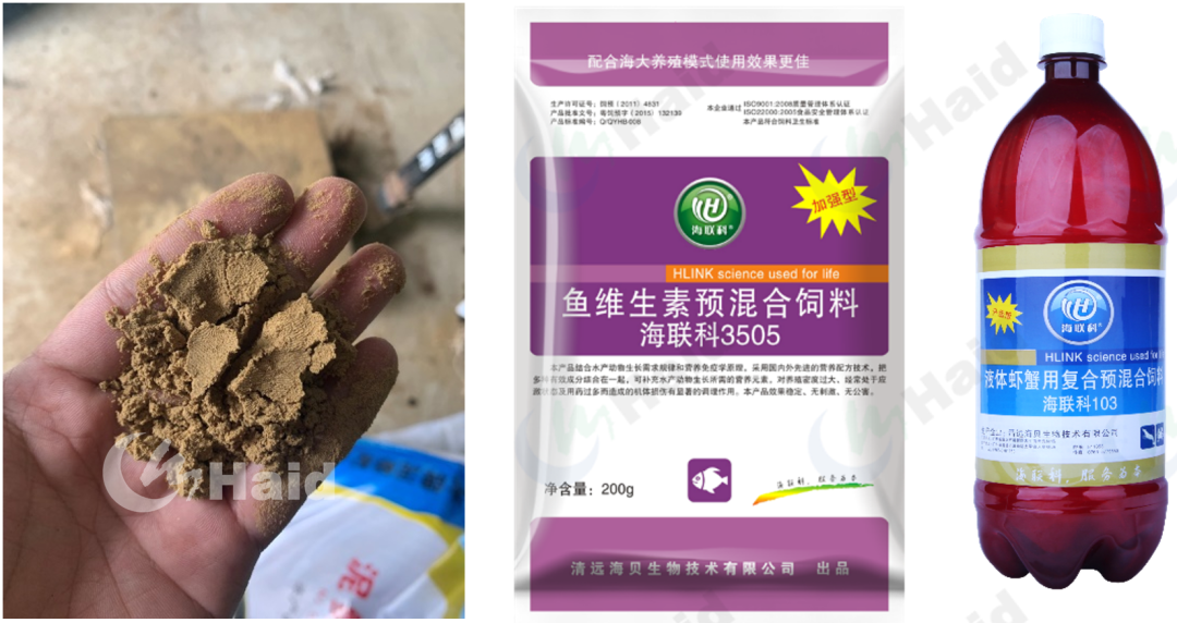 花鳅的养殖技术_中华花鳅人工养殖_花泥鳅养殖技术视频