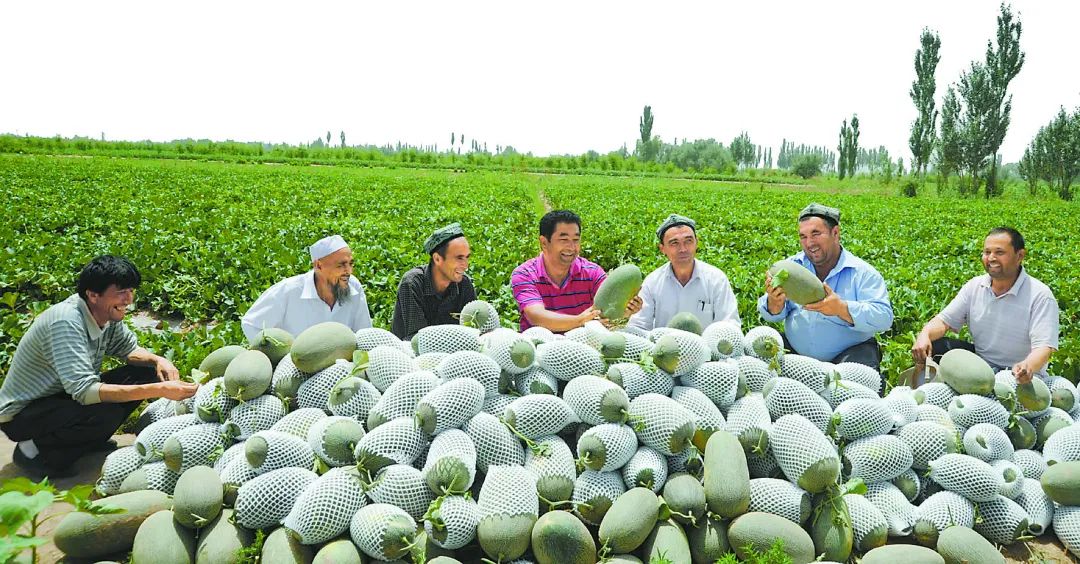 牡丹花富贵满堂品种图片_致富经牡丹花_牡丹花富贵