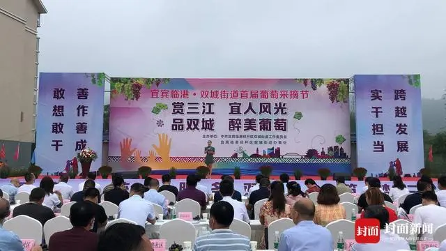 致富水果种植果园视频_致富经种植三种水果亩收入过亿_水果种植致富果