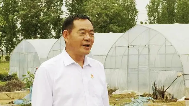 致富西瓜种植技术与管理_西瓜种植致富技术_致富经西瓜种植全视频