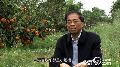 致富经：专门打造百万富翁的范老爷子(20170515)