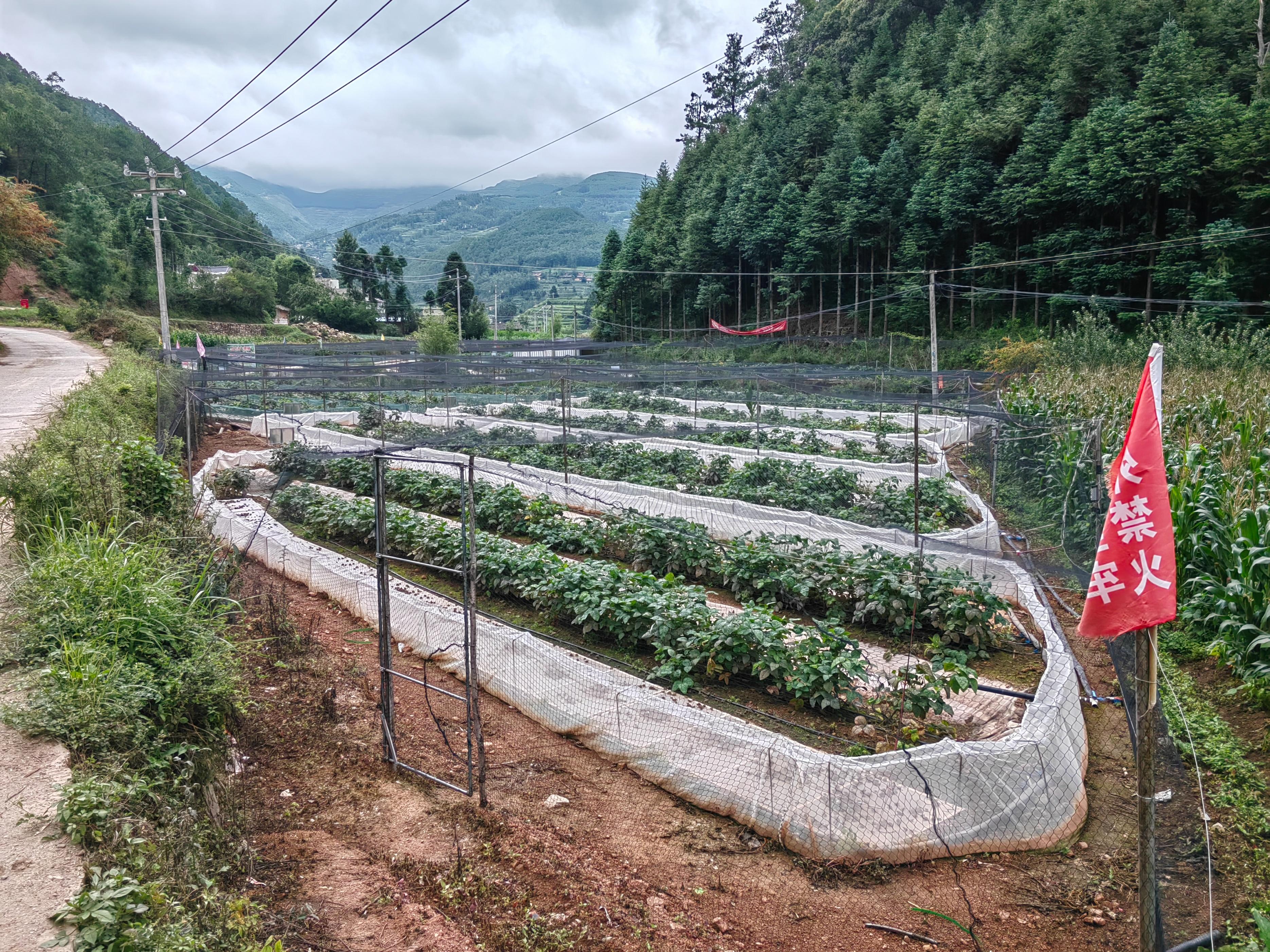 致富经关于蟾蜍的项目_致富经关于蟾蜍的项目_致富经关于蟾蜍的项目