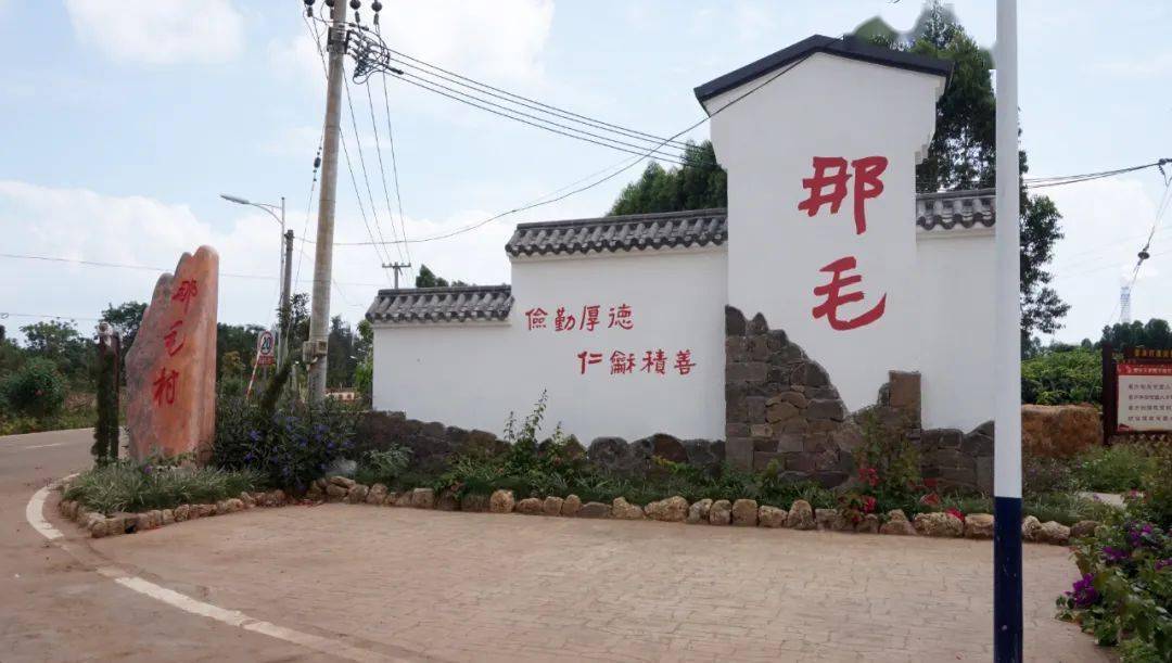 雷州那毛村村民点“薯”成金，脱贫致富路稳了！