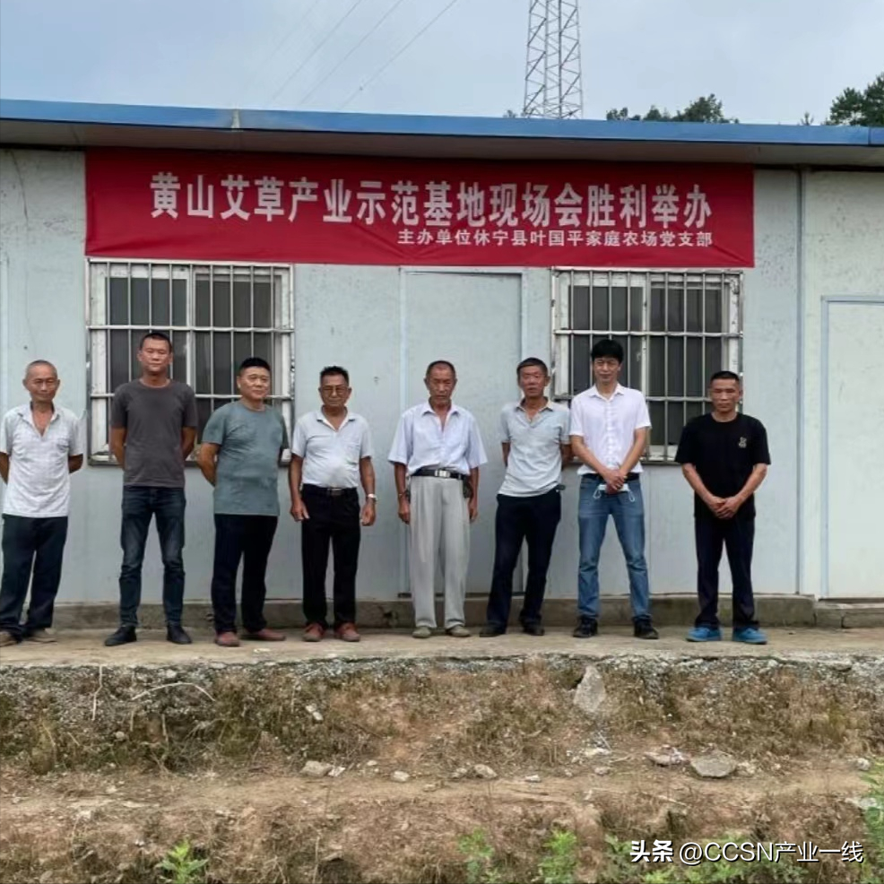 安徽黄山适合种什么水果_黄山农村种植致富_适合黄山种植的农作物
