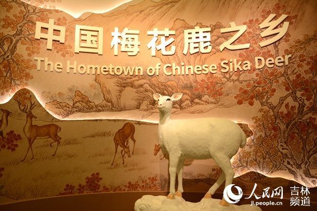 致富经养鹿_致富经鹿_养鹿致富视频