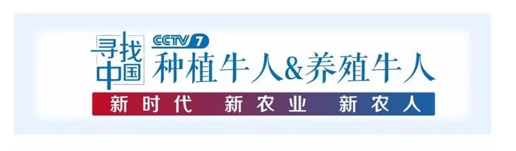 马蹄高产个大种植视频_马蹄高产个大种植技术_马蹄高产种植技术大全图片