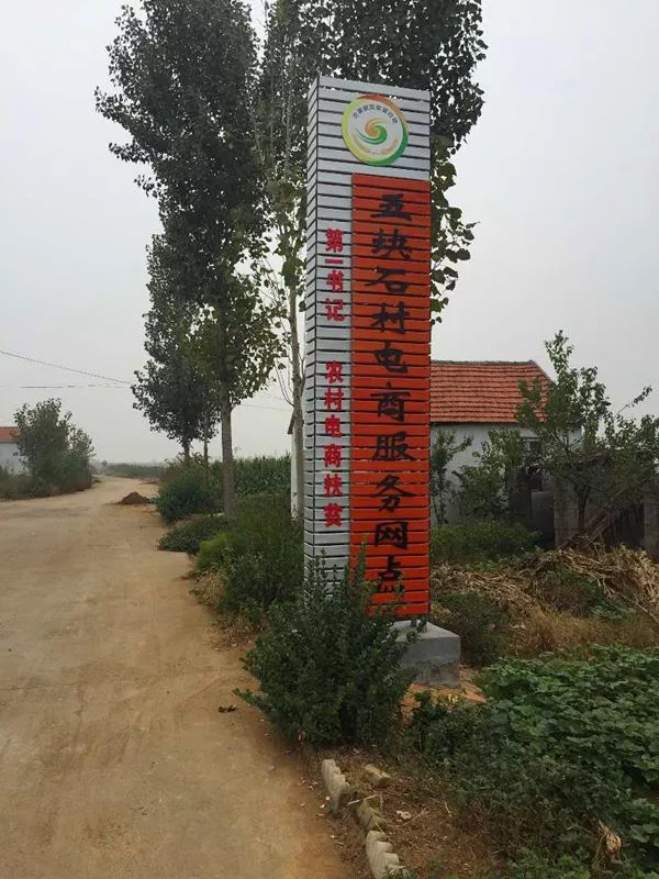 平邑种植平菇致富新闻联播_种植平菇的大棚图片_平菇种植技术培训