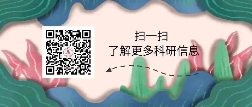 现代农村种植致富路线图_致富种植视频全集_种植致富业