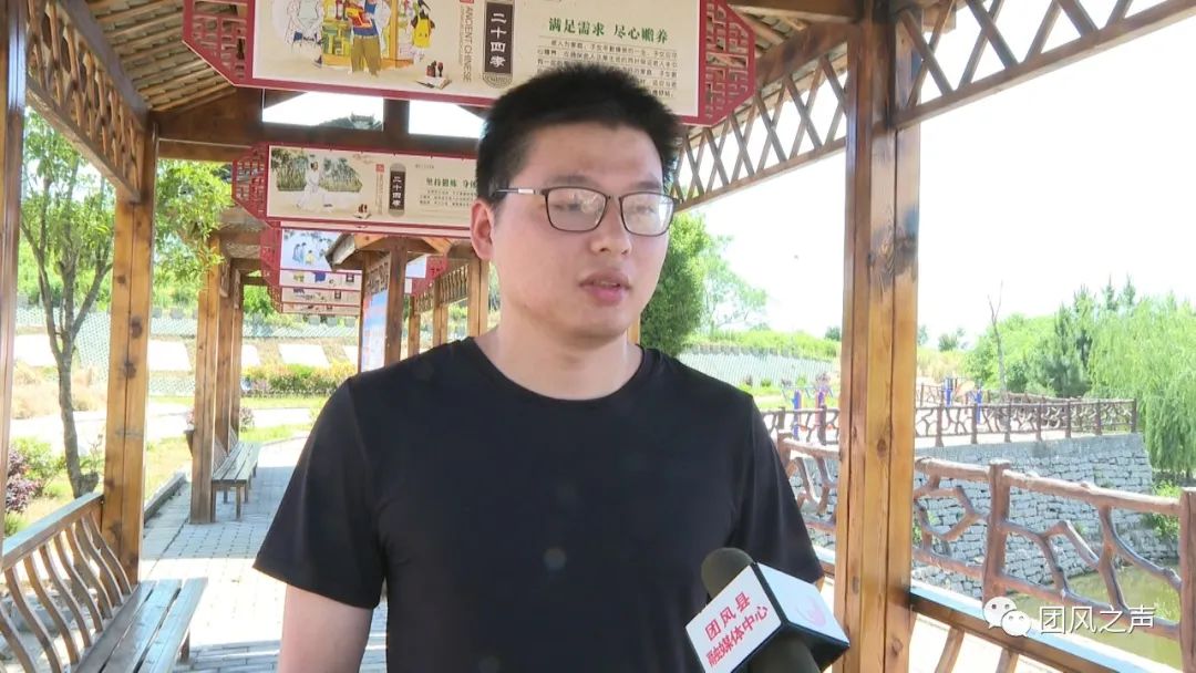 蕲艾种植致富_蕲艾怎么种植_蕲春艾草种植