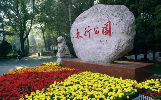 致富经攀鲈鱼养殖视频_攀卢鱼养殖技术_卢鱼苗养殖技术
