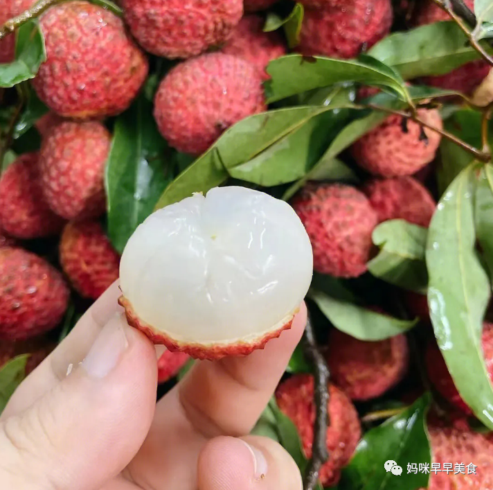 挂绿荔枝苗_挂绿荔枝种植致富_挂绿荔枝苗多少钱一棵
