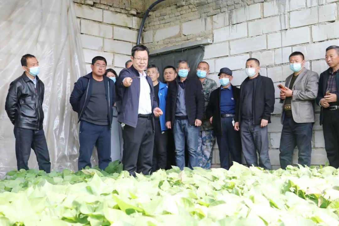 致富种植视频全集_致富课堂种植_致富经种植业