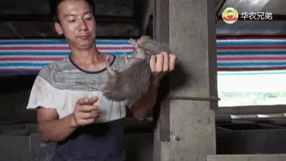 最近致富经_今年的致富经_2020致富经