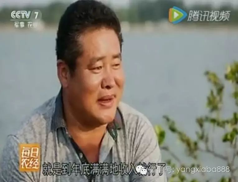 螃蟹高密度人工养殖_致富经高密度养殖螃蟹_螃蟹高密度养殖注意什么