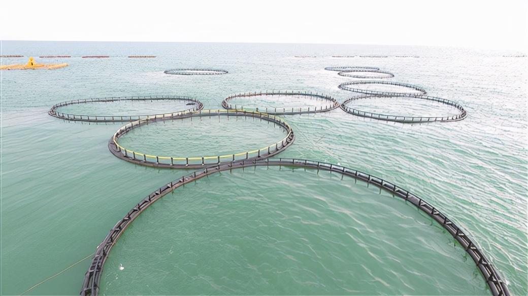 北海种植什么好赚钱_广西北海适合种植什么药材_北海种植致富项目