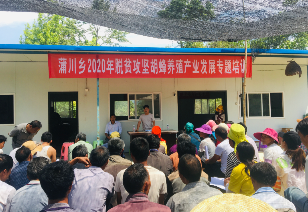 养殖马蜂赚钱吗_农村养殖马蜂致富_致富养殖农村马蜂图片