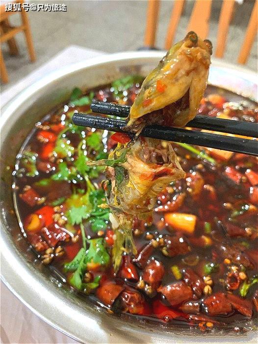 黄辣丁怎么钓_黄辣丁火锅_致富经黄辣丁