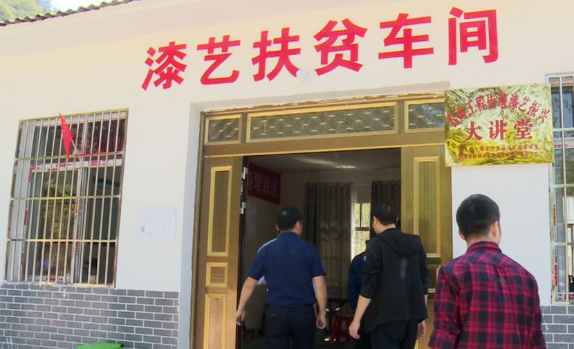 漆树栽培技术_漆树养殖技术_漆树栽培