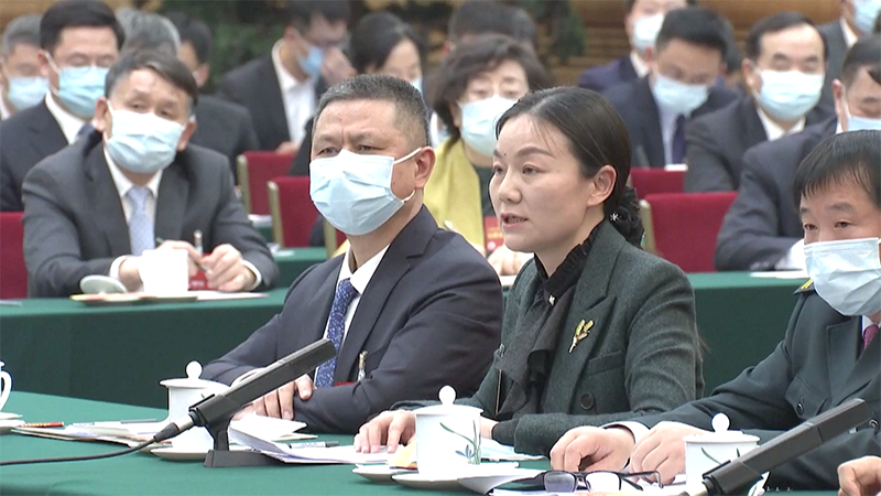 魏巧在十四届全国人大一次会议江苏省代表团全体会议上发言。