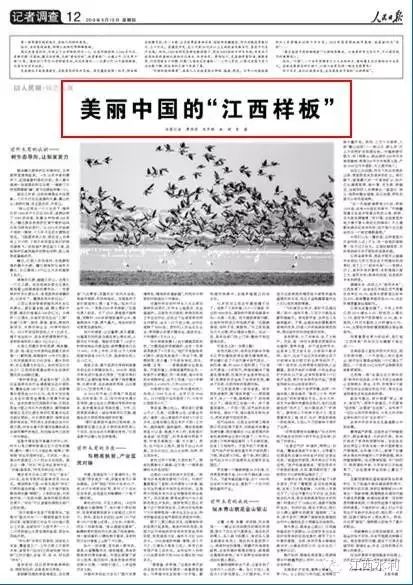 致富经大棚养猪新招赚钱_致富经大棚养猪_致富经大棚养猪种菜视频