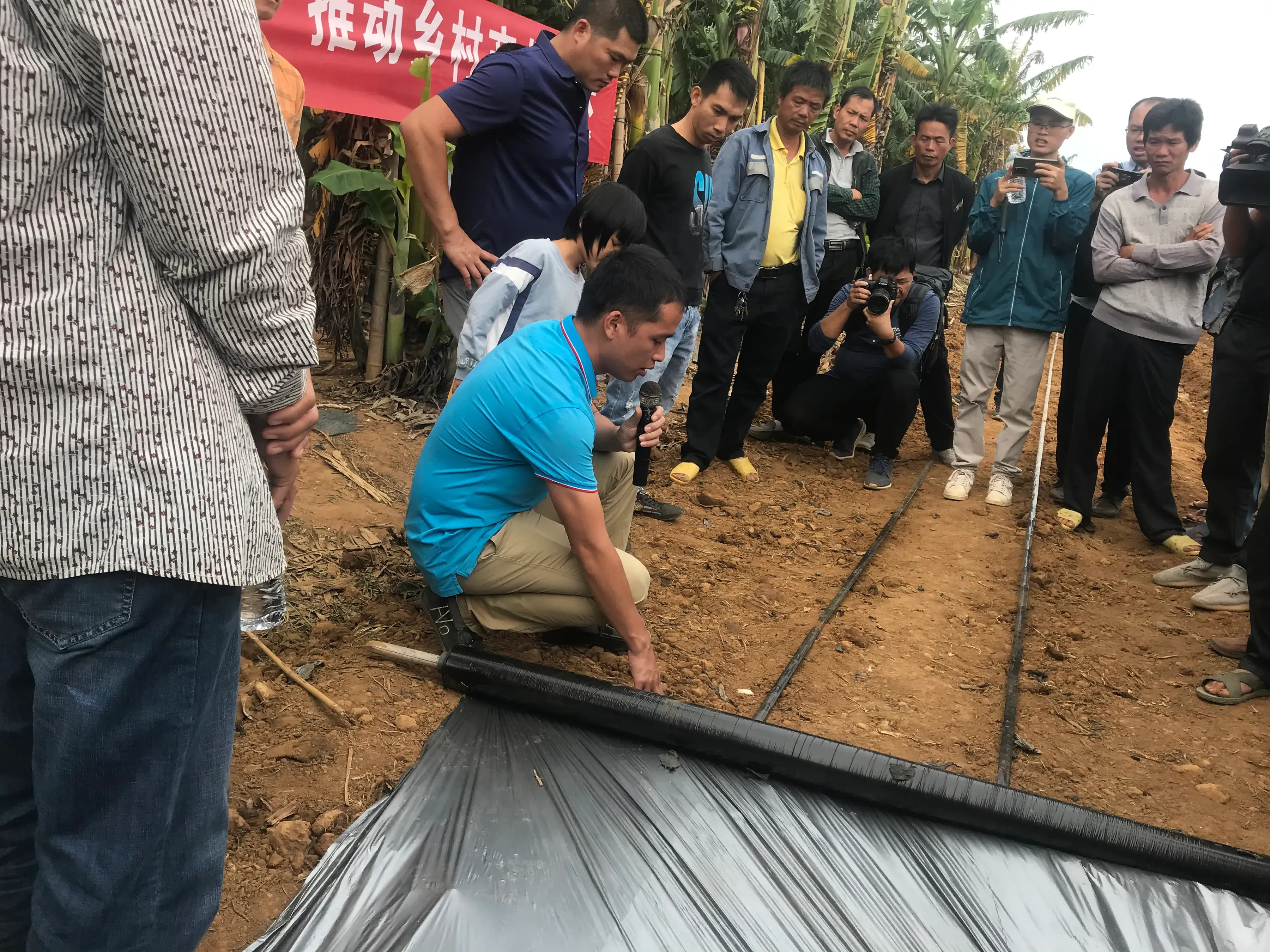 北海种植致富项目_广西北海适合种植什么药材_北海种植什么好赚钱
