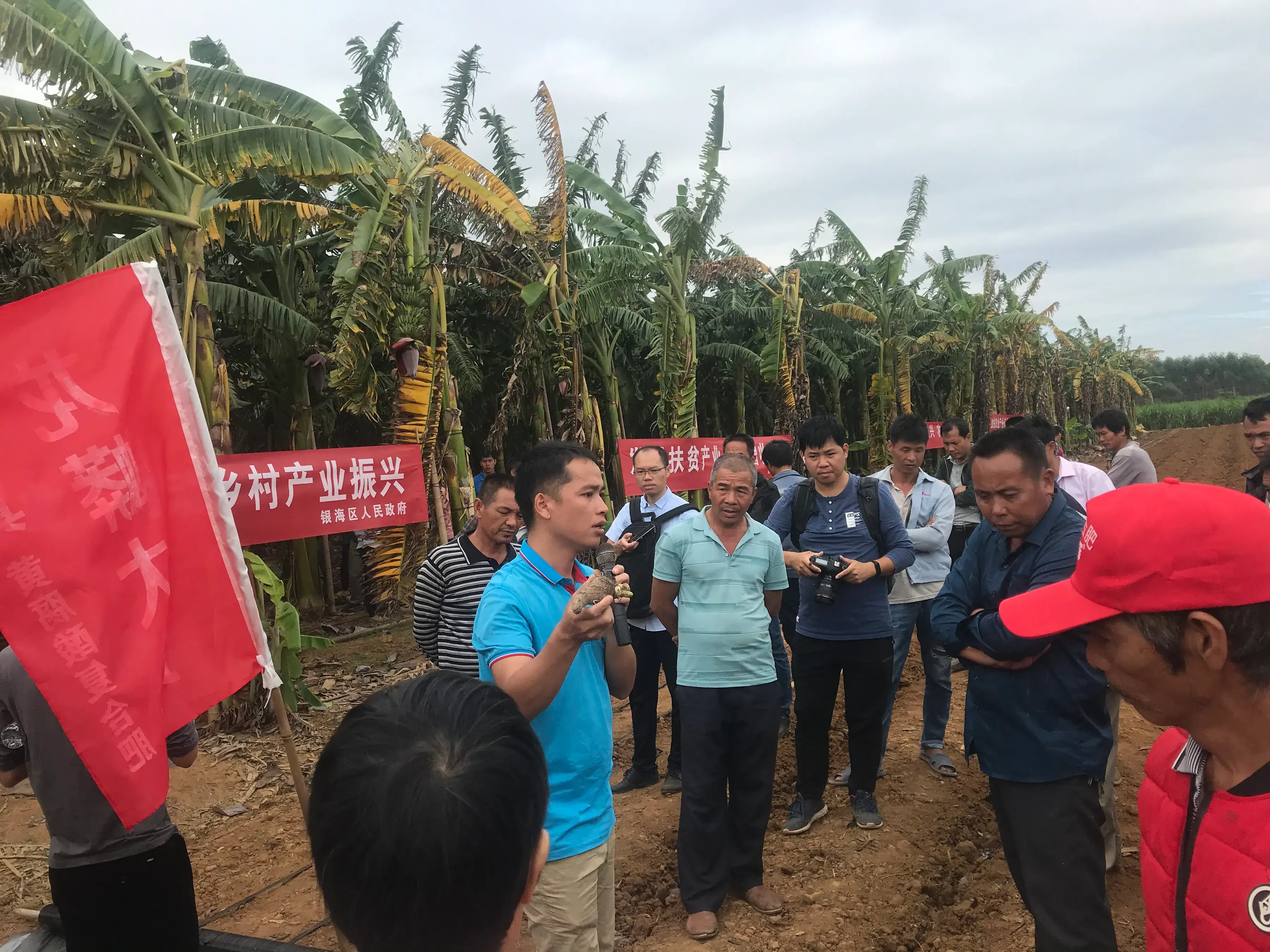广西北海适合种植什么药材_北海种植致富项目_北海种植什么好赚钱