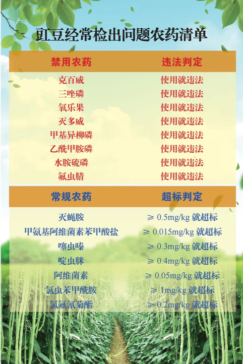 豇豆种植法_豇豆的种植时间和种植方法_豇豆种植技术相关推荐