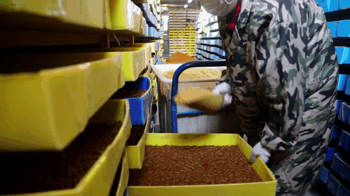 养黄粉虫能赚钱吗_养黄粉虫致富经_养黄粉虫视频