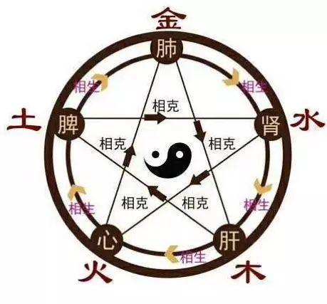 养殖技术：发酵中药——引领绿色无抗养殖新潮流