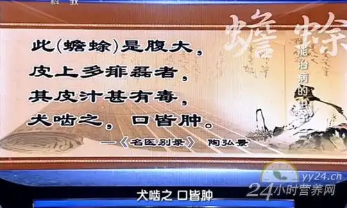 蟾蜍