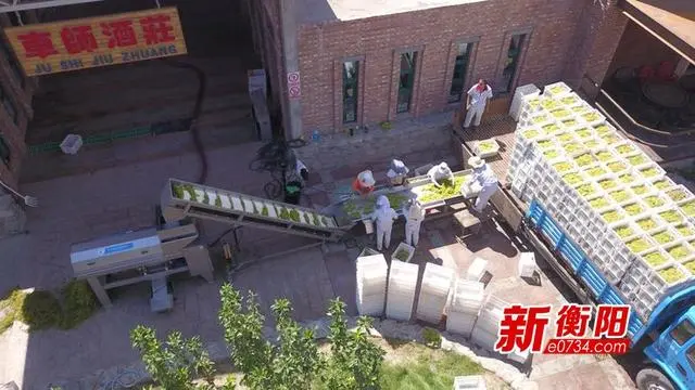 在新疆租地多少钱一亩_新疆租地种植致富_新疆种地挣钱