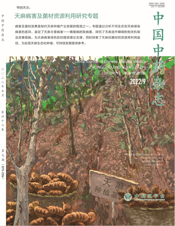 竹荪种植技术视频_种植山东竹荪技术视频_山东竹荪种植技术