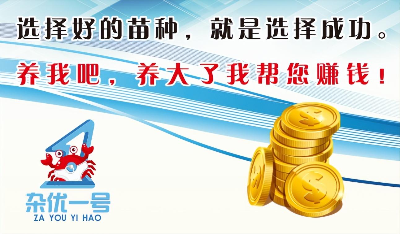 养殖水产技术现状调查_哪里水产养殖技术好_养殖水产技术含量高吗