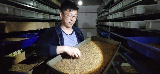 蝎子养殖技术视频大全_蝎子养殖视频科技苑_蝎子养殖技术视频全集