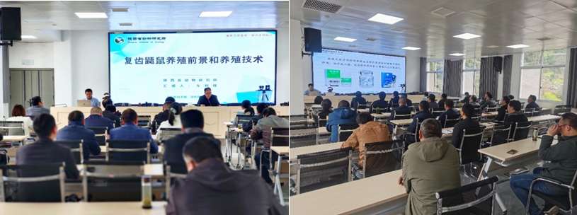 复齿鼯鼠养殖利润_致富经复齿鼯鼠养殖_养殖复齿鼯鼠创业致富