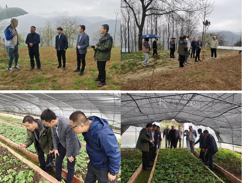 复齿鼯鼠养殖利润_养殖复齿鼯鼠创业致富_致富经复齿鼯鼠养殖
