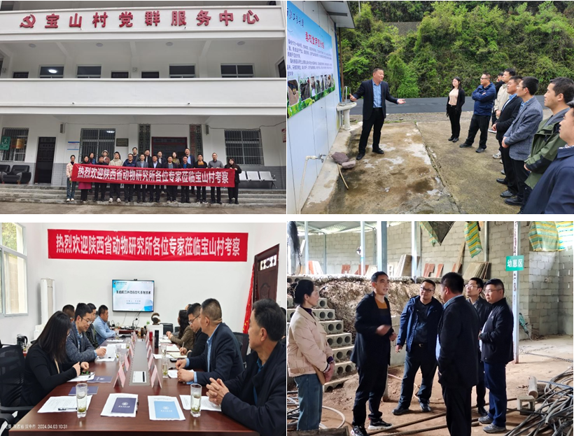 养殖复齿鼯鼠创业致富_致富经复齿鼯鼠养殖_复齿鼯鼠养殖利润