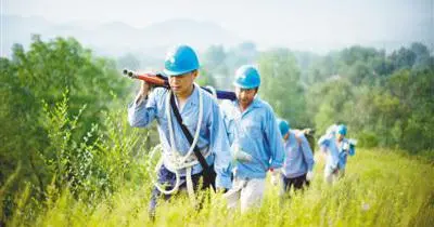 致富山村养殖项目介绍_致富山村养殖项目招标_山村养殖致富项目