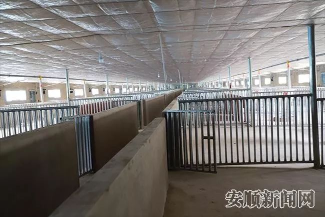 家庭新型养殖致富项目_致富养殖新型家庭项目名称_致富养殖新型家庭项目有哪些