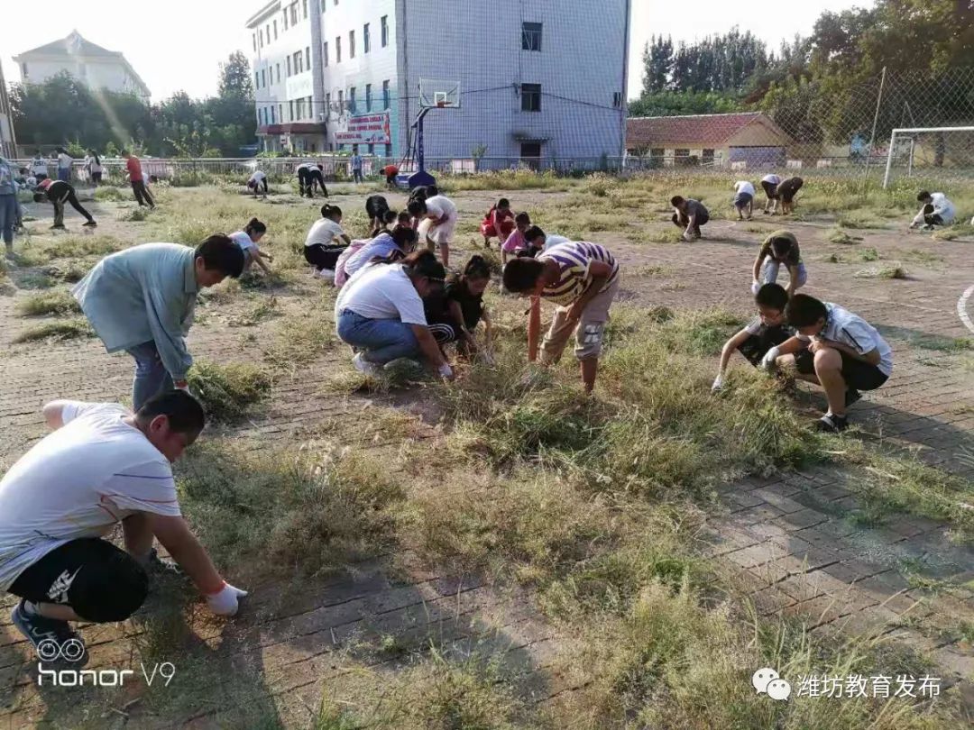 优质事件上报经验做法_优秀做法和先进经验_优秀做法汇报