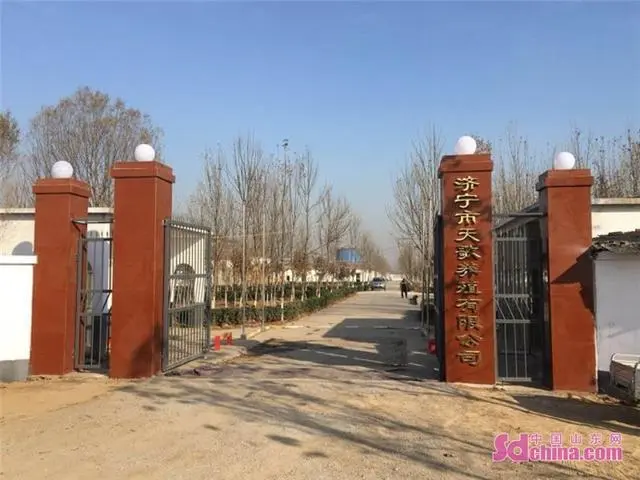 循环养殖致富视频_致富创业网养殖视频_养殖致富项目视频